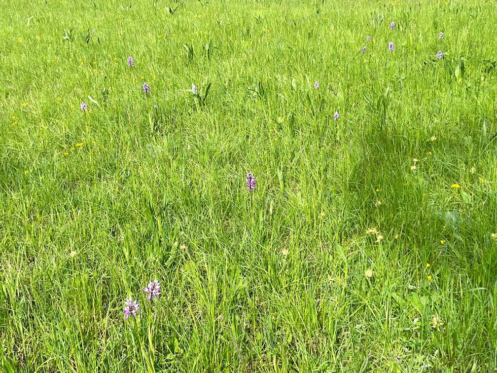 22-05-08 11-07-16 0764